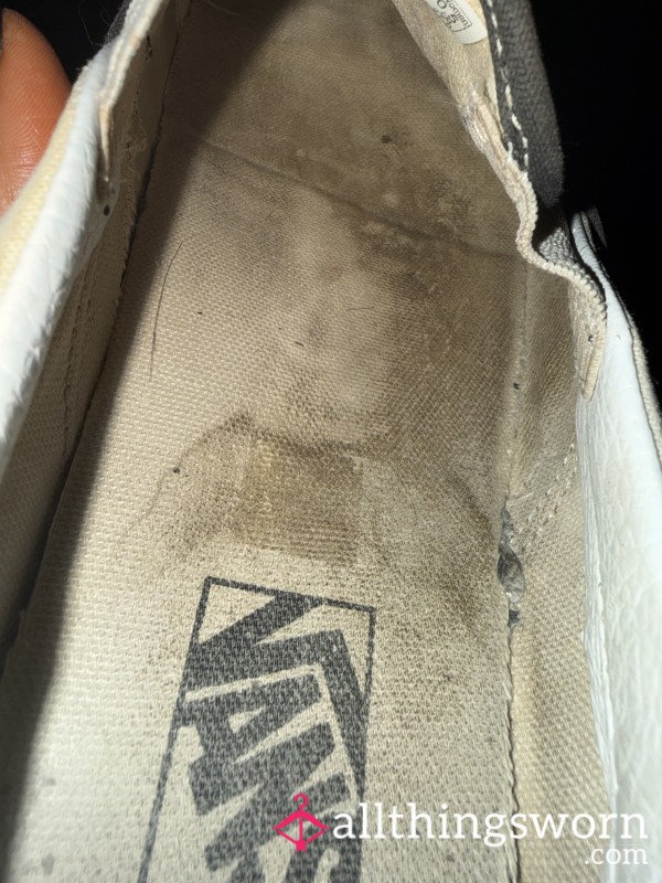 Well Worn Vans