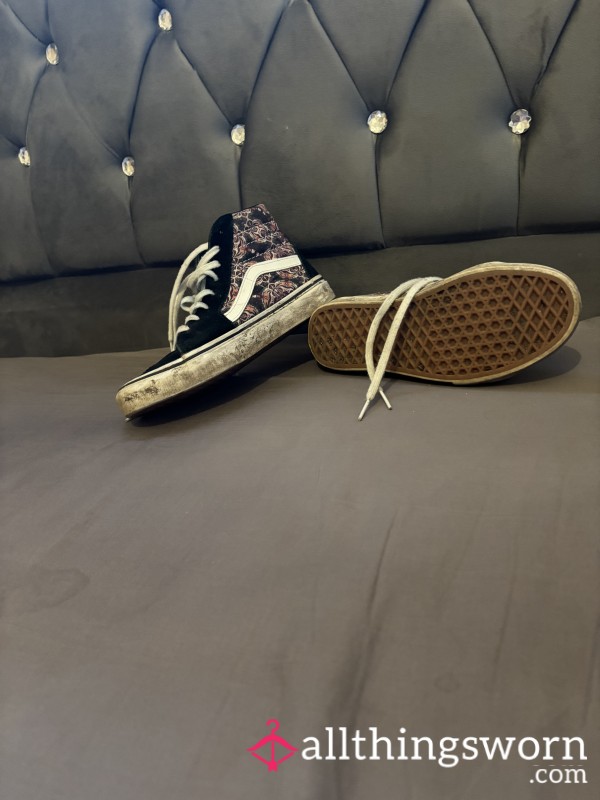 Well Worn Vans