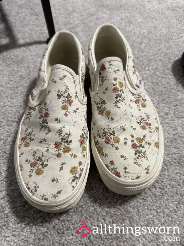 Well Worn Vans