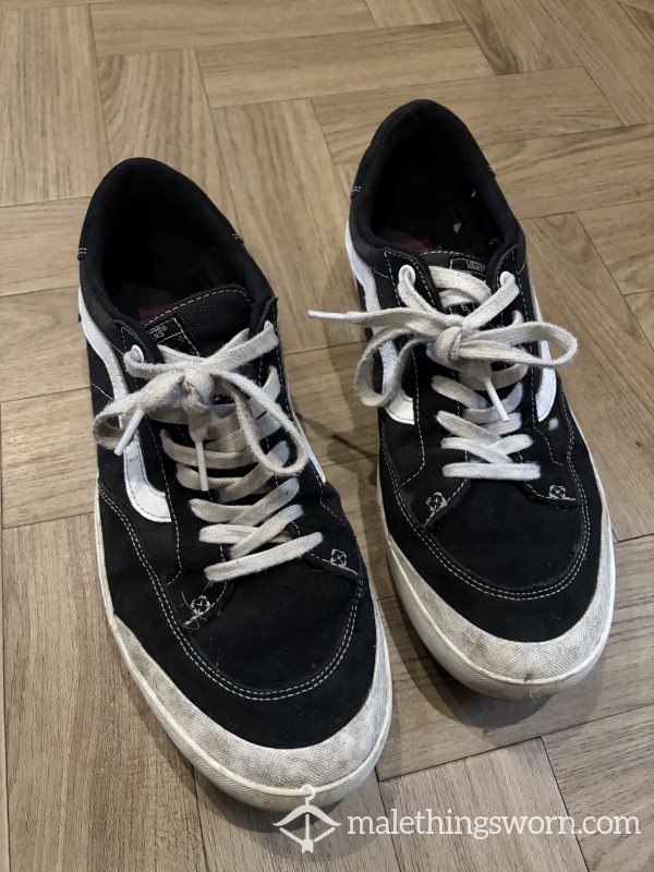 Well Worn Vans
