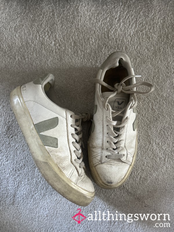 Well Worn Vejas
