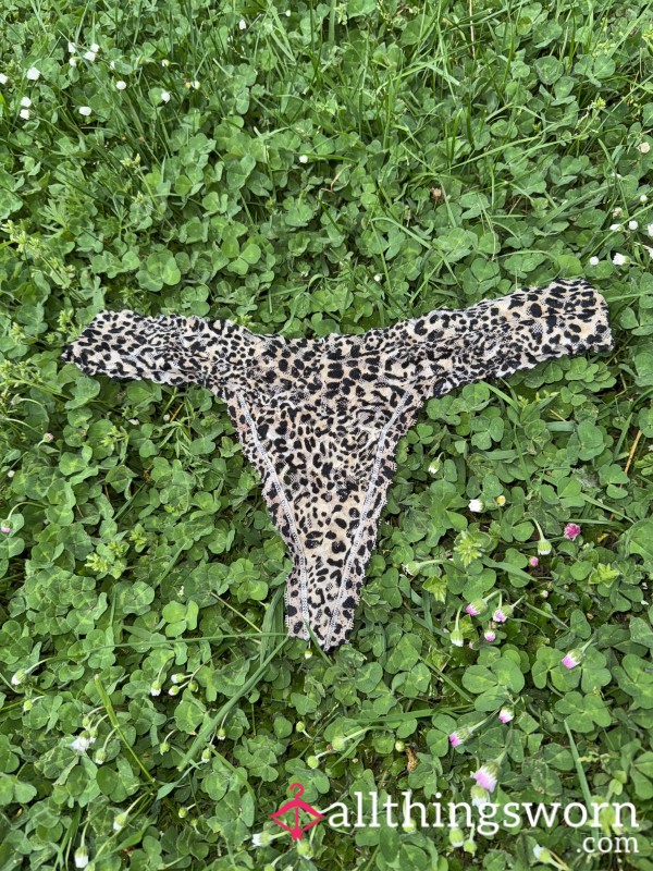 Well-Worn VS Cheetah Print Thong