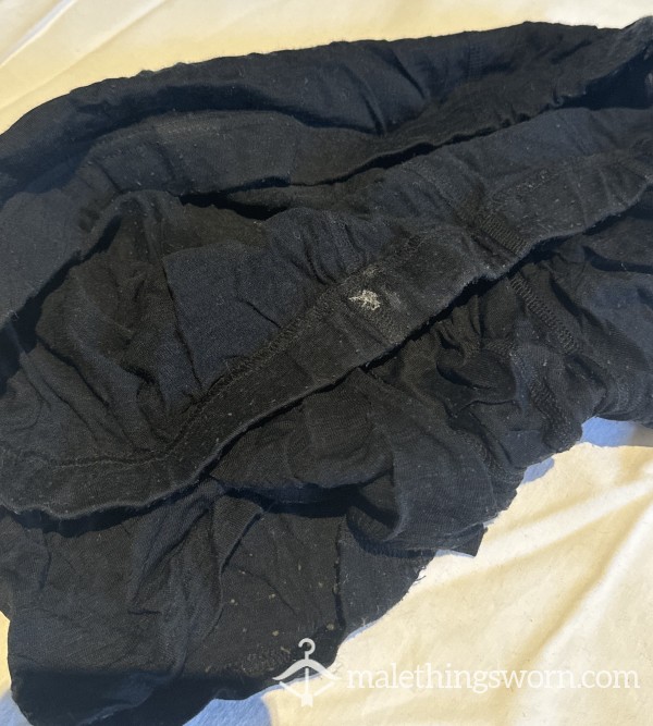 Well Worn Wool Boxer - 22 Days