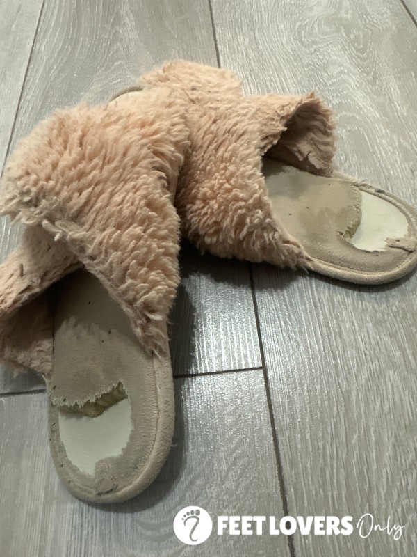 Exceptionally Well Worn Smelly Slippers
