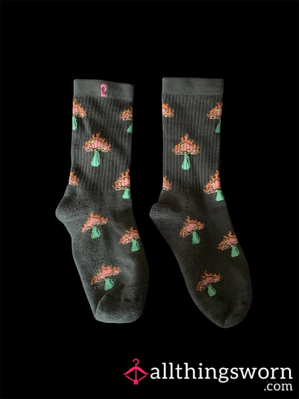 Well-Worn Years Old Crew Socks