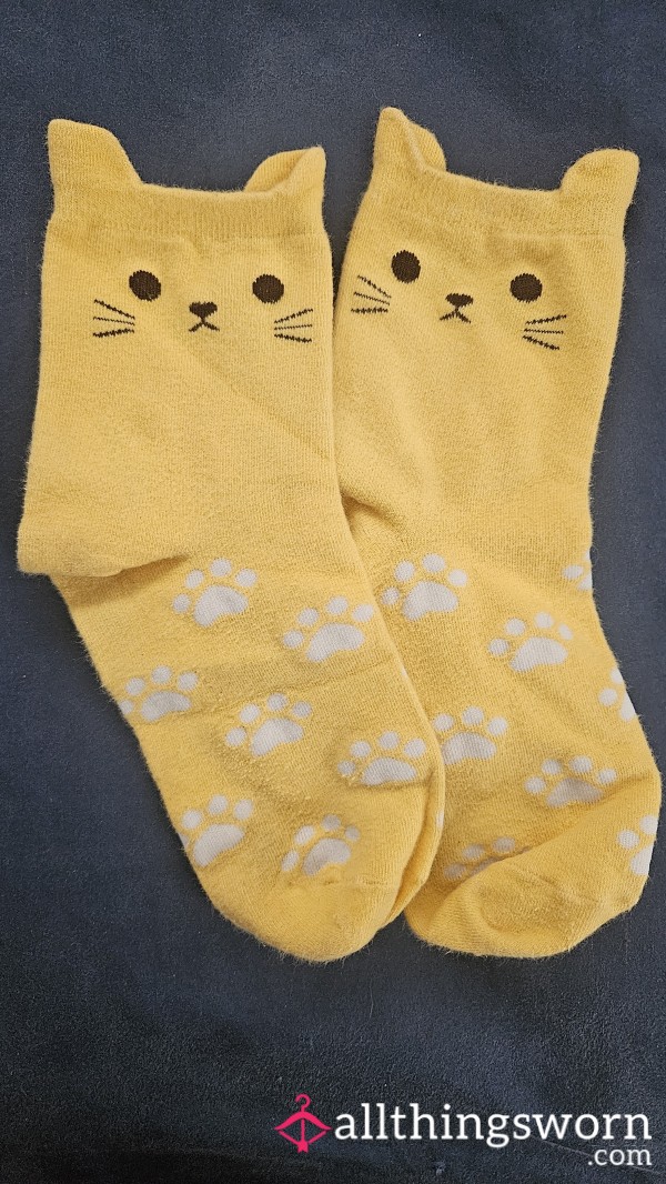Well Worn Yellow 💛 Kitty 😺 Socks
