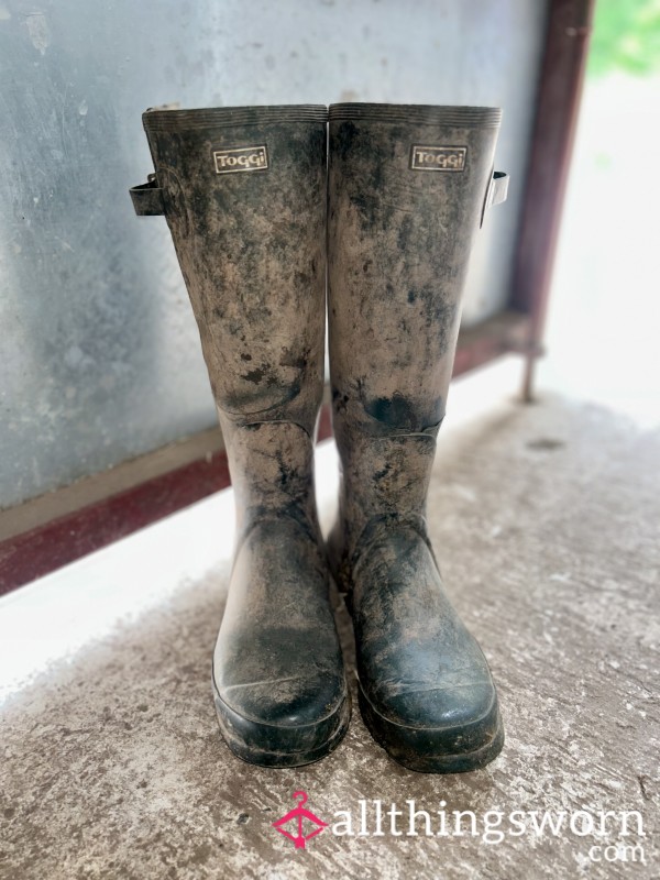 Welly Boots🥾