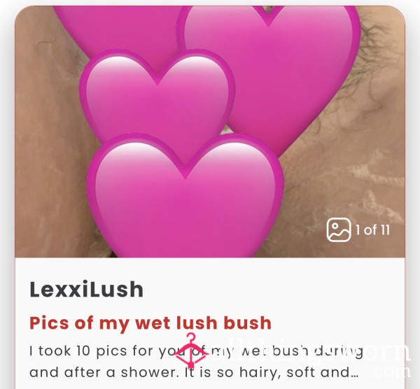 Wet Beautiful Bush Pics Plus A Video