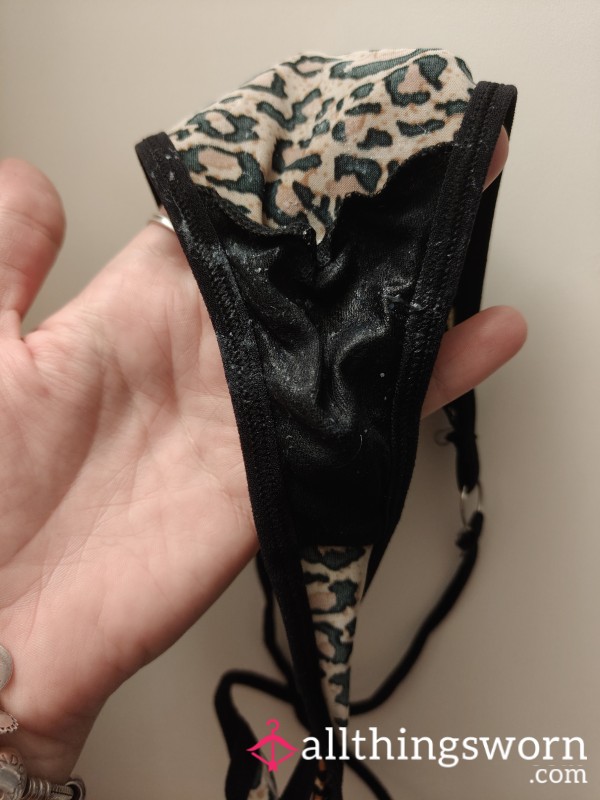 Wet Gussets And Creamy 😺💦