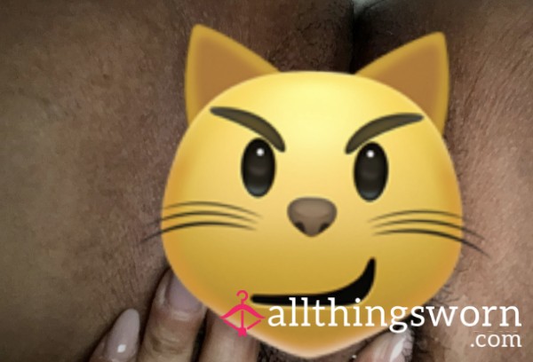 Wet Kitty