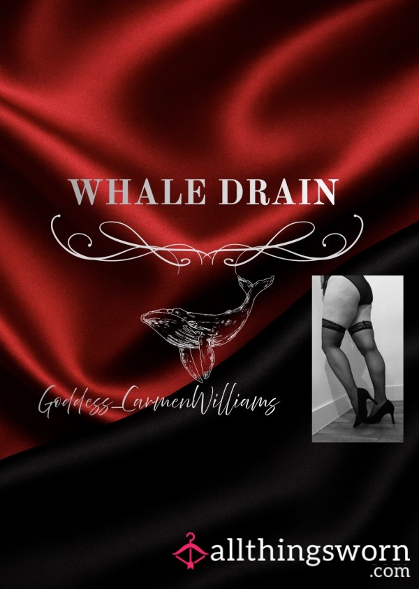 Whale 🐋 Drain