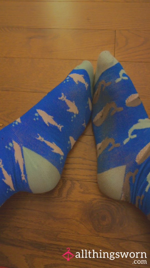 Whale Socks