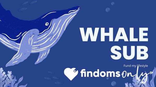 Whale Sub 🐋👀