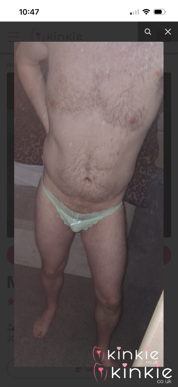 Will You Be Wearing My Panties To?