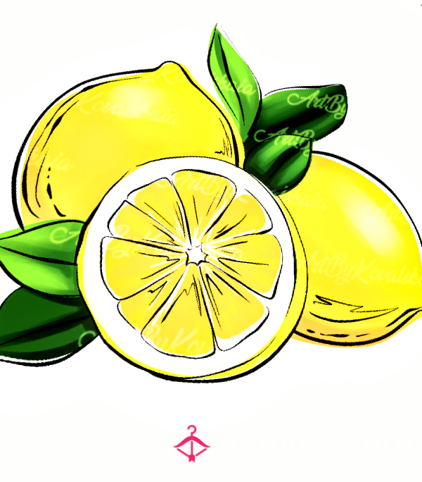 When Life Hands You Lemons Let  Me Give You My Lemonade 🍋