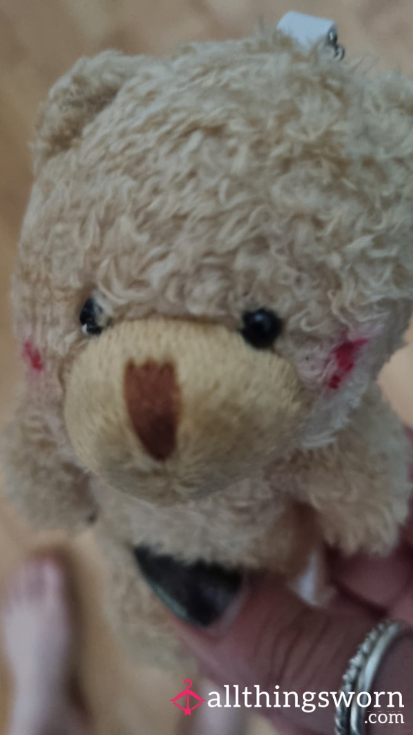 Where Am I Putting Bear 🐻