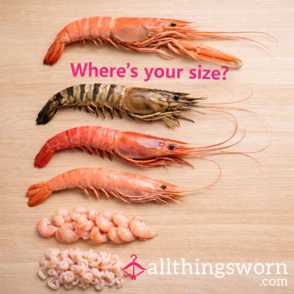 Where Is Your Size? 🦐 | Visual D*ck Rating (Size Scale)