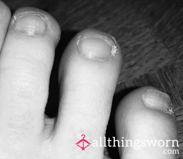 Whimsy’s Crusty House Cleaner Foot Dust 🦶🏻