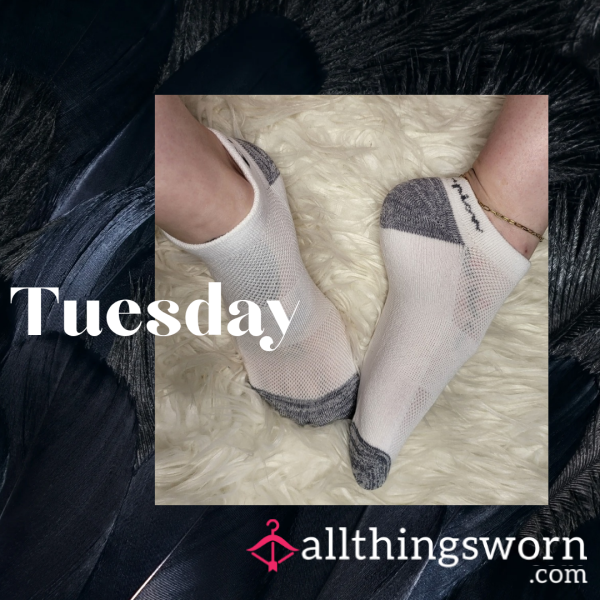 White And Grey Champion Ankle Socks