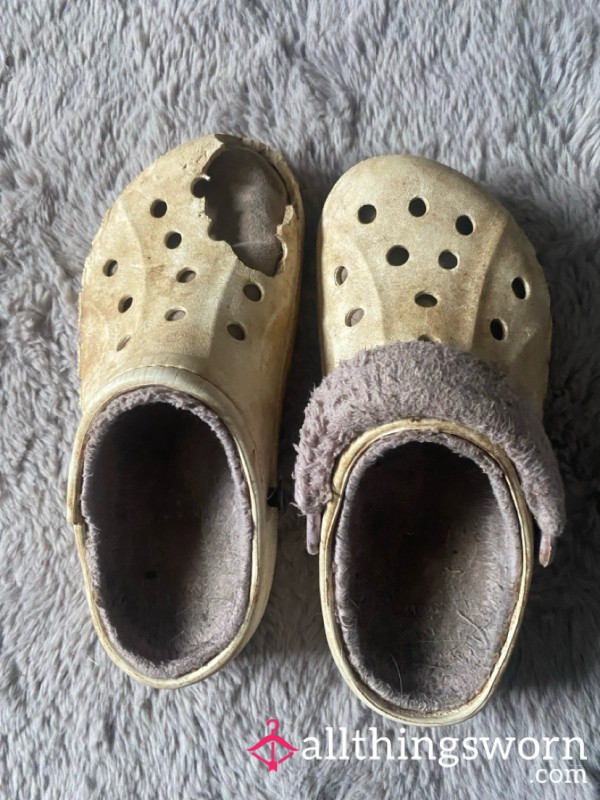 White And Purple, Dog Chewed Crocs Slippers