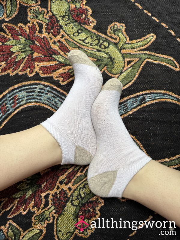 White Ankle Everyday Wear Socks