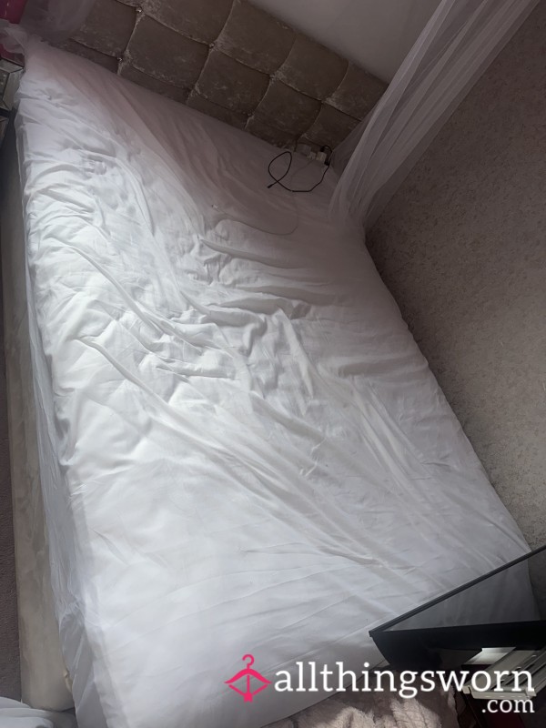 🤍White Cotton Fitted Sheet🤍