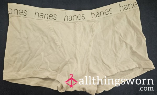 White Cotton Hanes Briefs