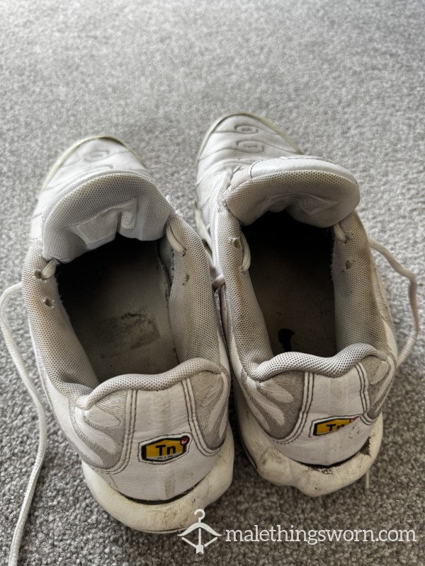 White Leather TNs
