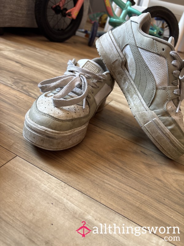 White Pumas