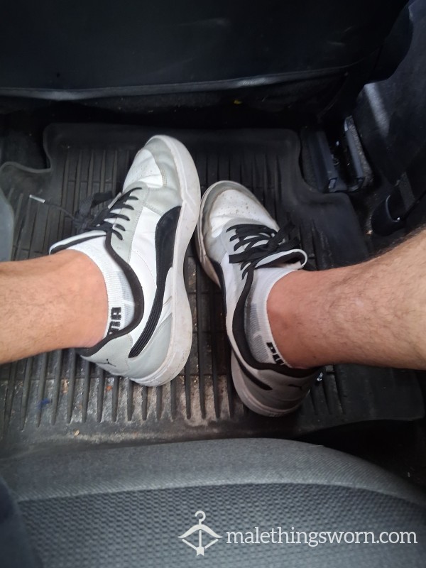 White Pumas