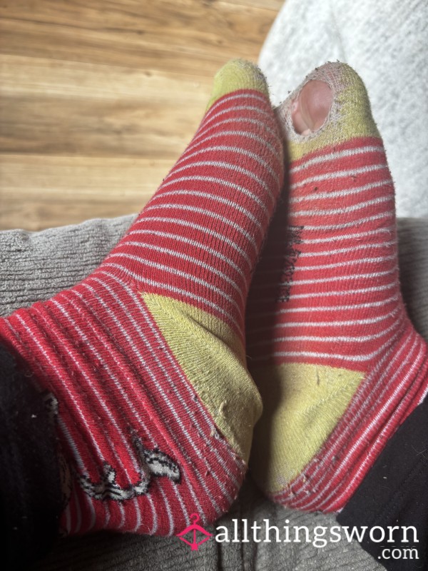 Wholely Socks