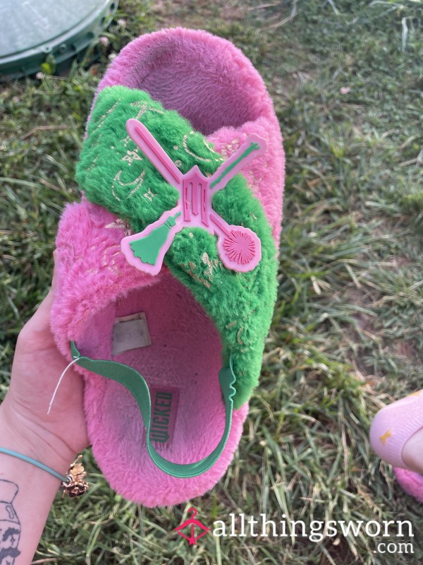 “Wicked” Green & Pink Slippers ; VERY WORN