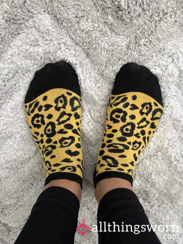 Wild Animal Print Colourful Sock