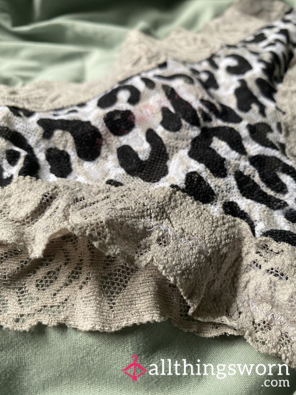 “Wild Obsession” – Leopard Lace Thong Worn By Mistress Vexx