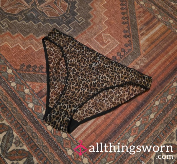 🖤⛓️ Wild Side Leopard Print Mesh Style Panties Briefs High Leg Full Coverage