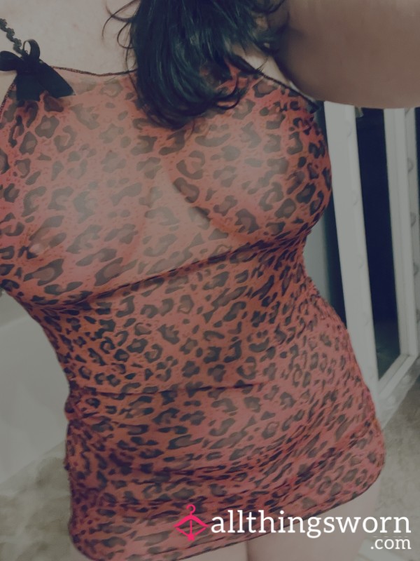 ❤️‍🔥 Wild, Worn, And Waiting For You ❤️‍🔥