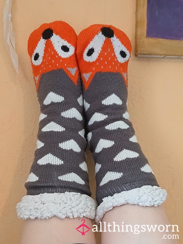 ❄️Winter Socks 🦊