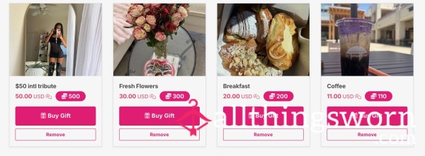 🛍️ Wishlist 🛍️