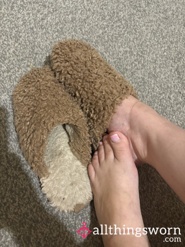 Wolly Old Brown Slippers