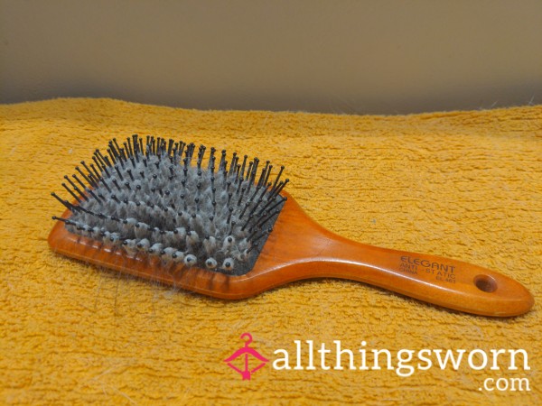 Wooden Handle Hairbrush