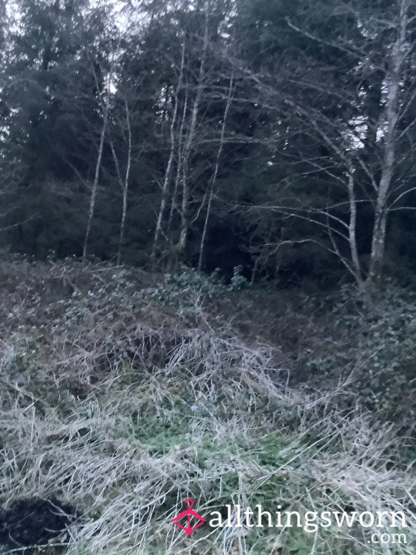 Woodland Adventure