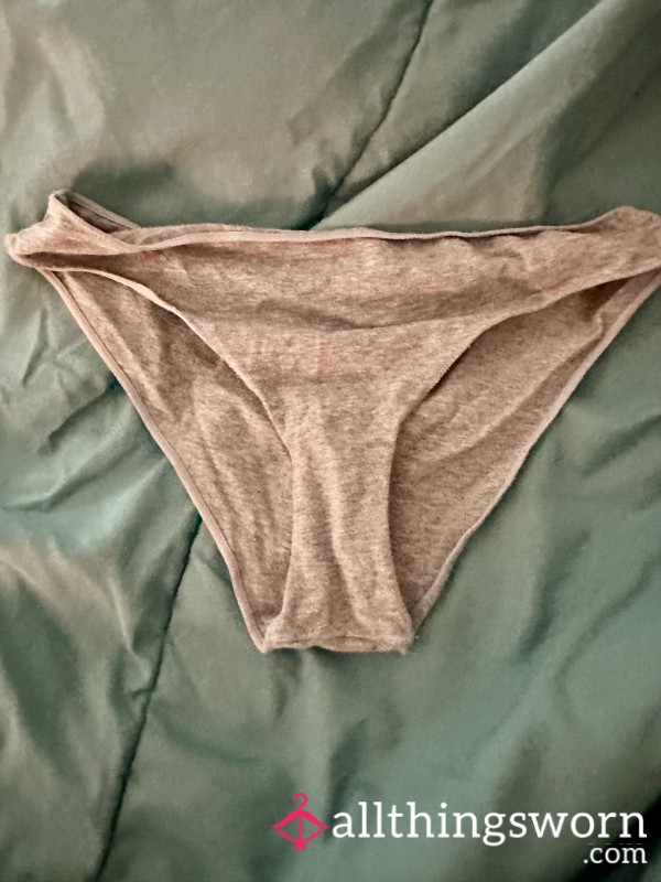 Worn Gray Bikini Panty