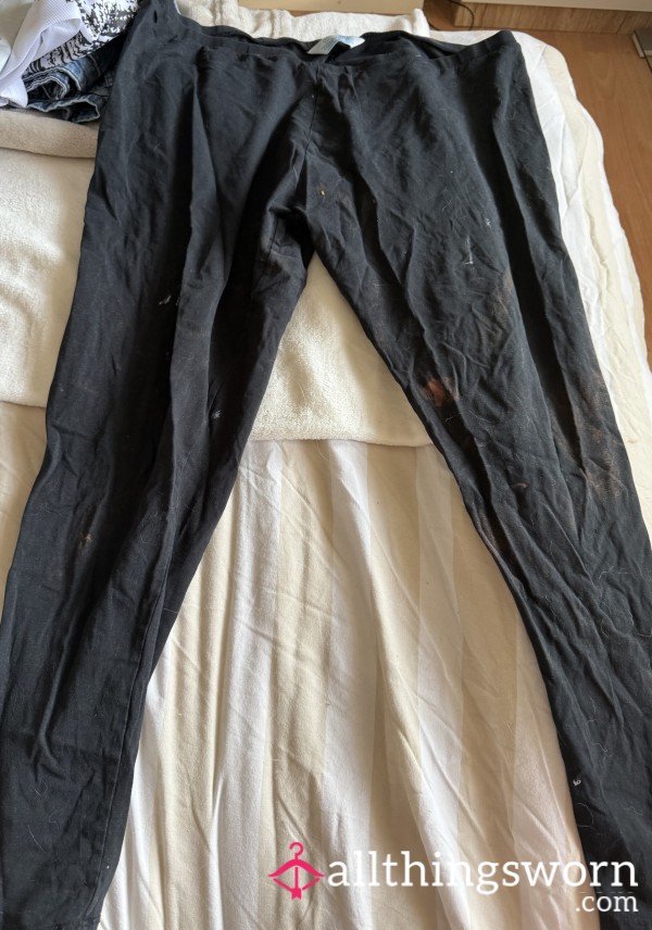 Work Leggings