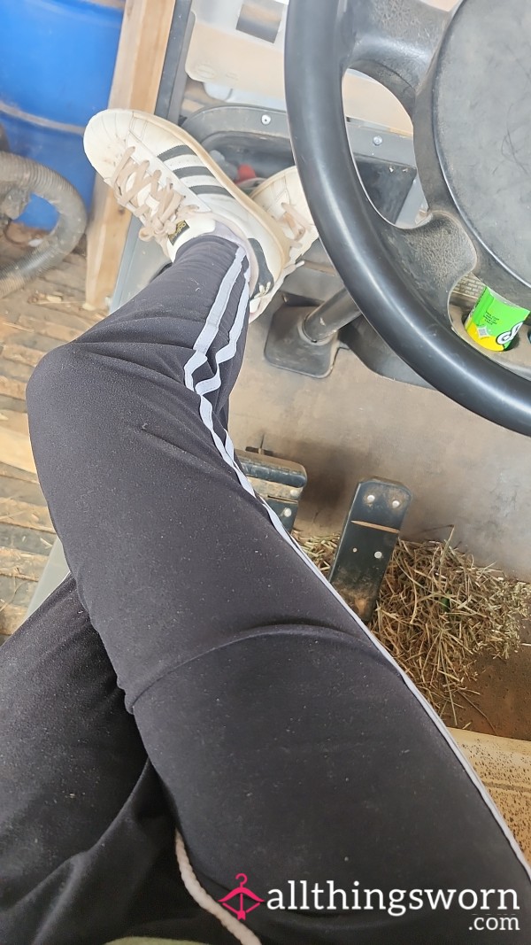 Work Leggings And Shoes