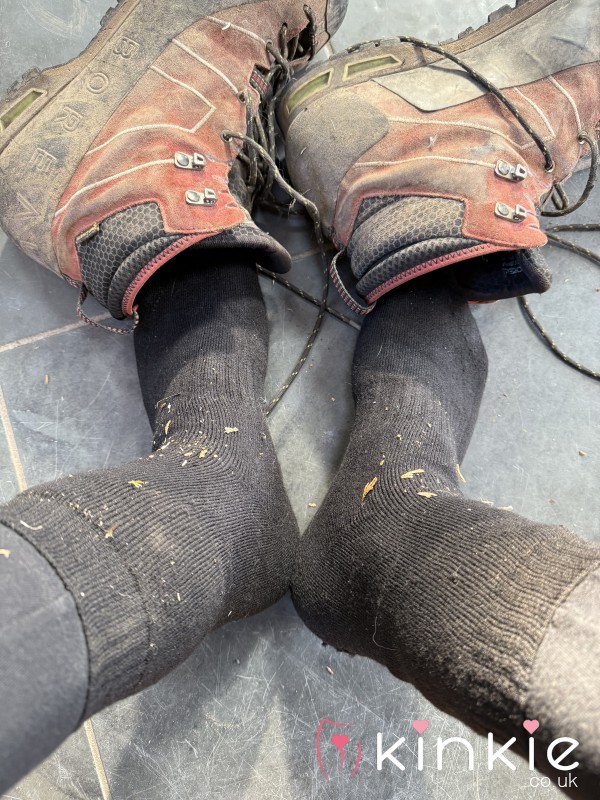 Work Socks