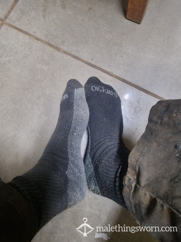 Work Socks 🧦