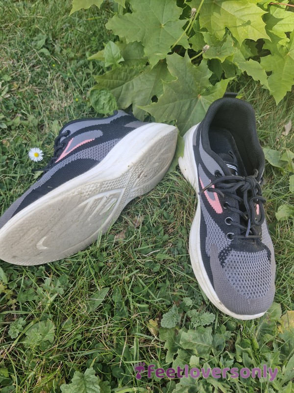 Work Trainers