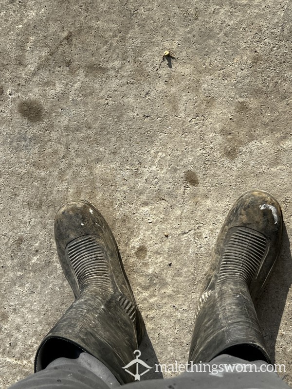 Work Welly’s