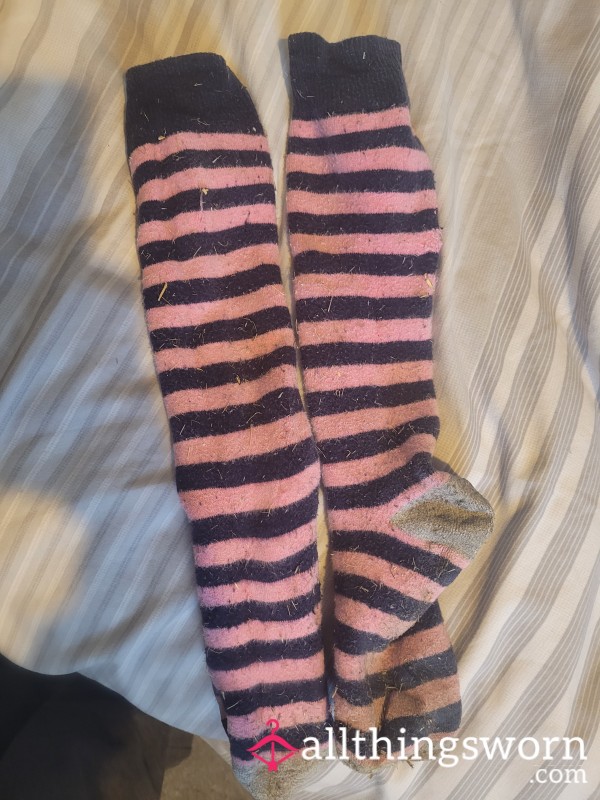 Working Stripey Stable Sock