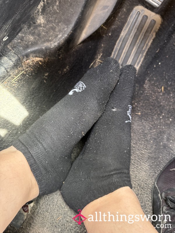 Worn 24 Hours W/ 1 Picture